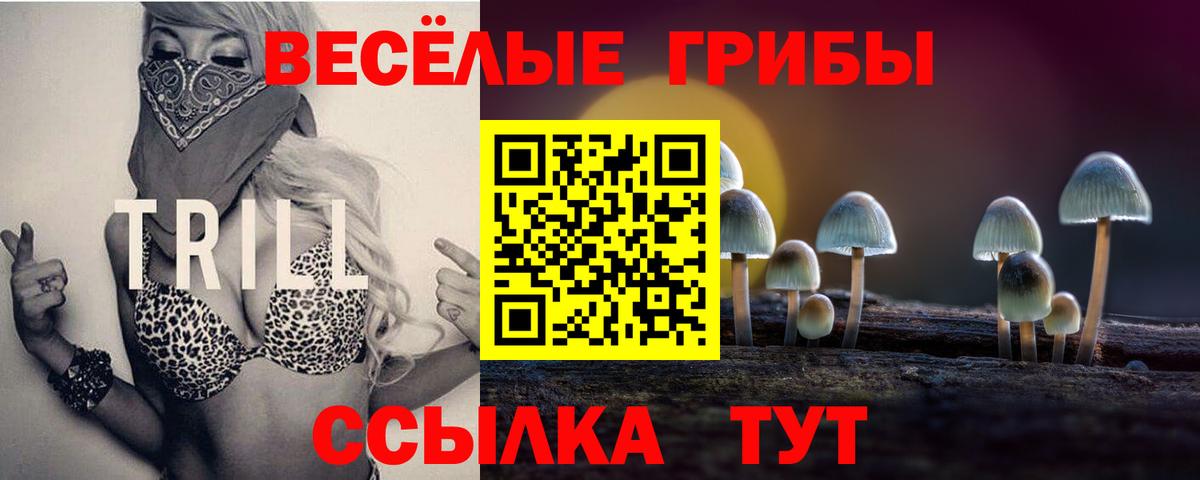 Галлюциногенные грибы Magic Shrooms Димитровград