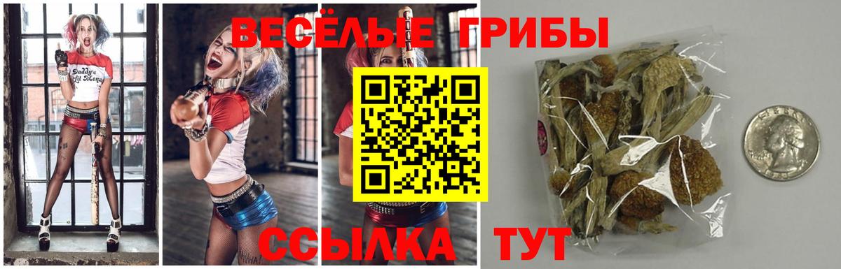 Галлюциногенные грибы Magic Shrooms  Галлюциногенные грибы MAGIC MUSHROOMS  Димитровград  Вход с VPN 