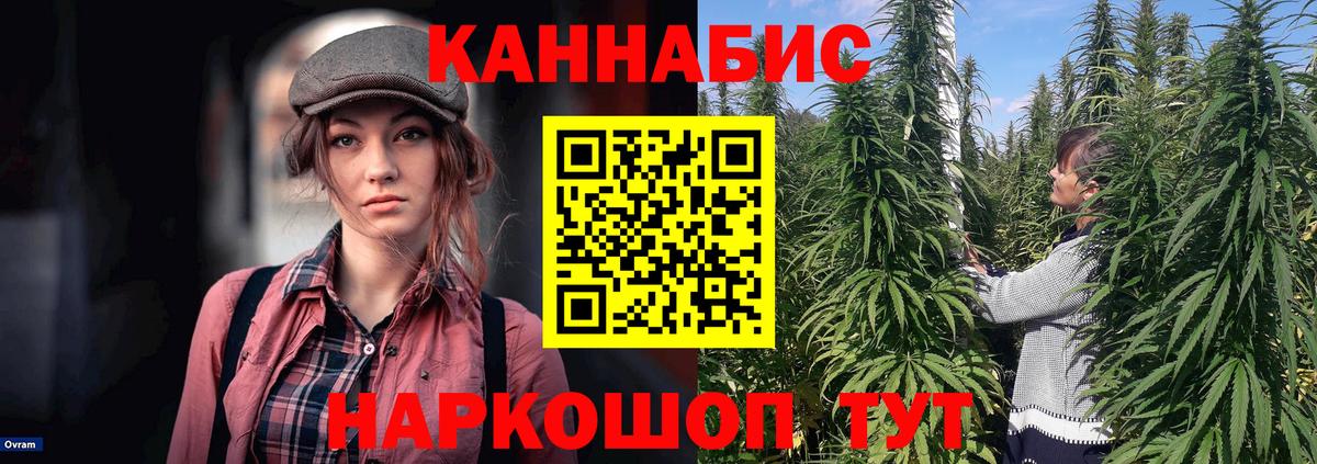 Каннабис марихуана  Канабис VHQ  Димитровград  Вход с VPN 